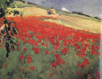 Landscape with Poppies (nn02), William blair bruce